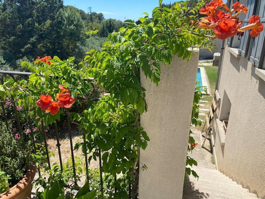 Ar De Vie Villa Chaleureuse En Provence Ventabren Eksteriør billede
